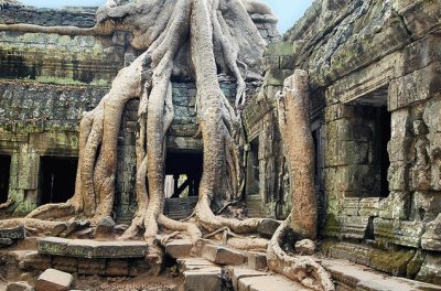 The Temple,Ta Prohm, Siem Reap, Cambodia jigsaw puzzle