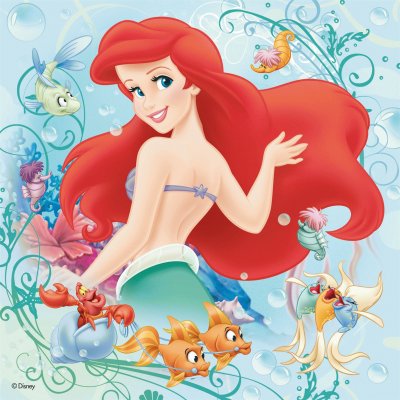 Princesas da Disney jigsaw puzzle