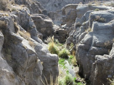 En Nihuil. Mendoza. Argentina