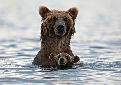 mom#216