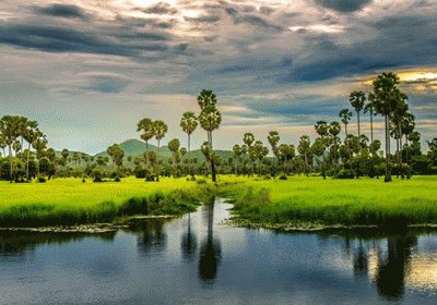 פאזל של My Homelandâ€‹, Cambodia