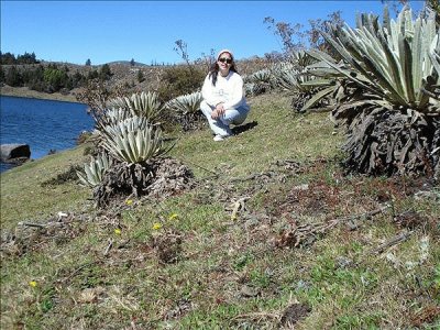 פאזל של Laguna de MucubajÃ­