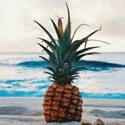 Pineapple jigsaw puzzle