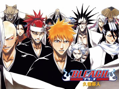 bleach jigsaw puzzle