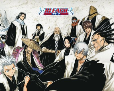 bleach jigsaw puzzle