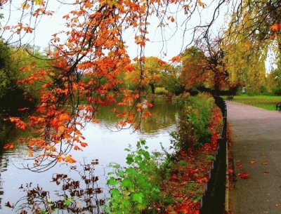 Landschaft