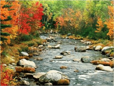 autumn-139 jigsaw puzzle