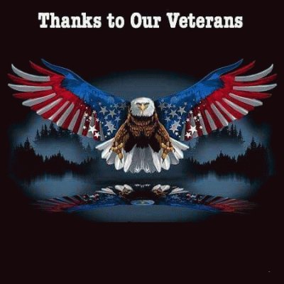 thanks vets jigsaw puzzle
