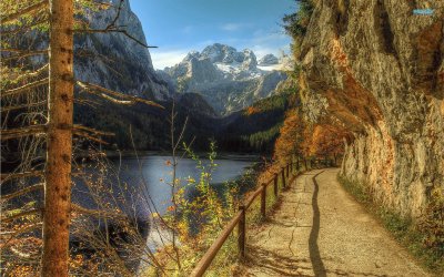 NATUREZA