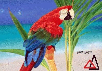 NATURALEZA VZLA jigsaw puzzle