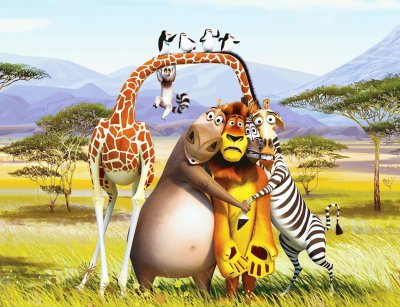 madagascar jigsaw puzzle