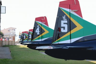 פאזל של Falcons lined up