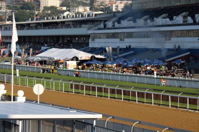 Greyville Durban jigsaw puzzle