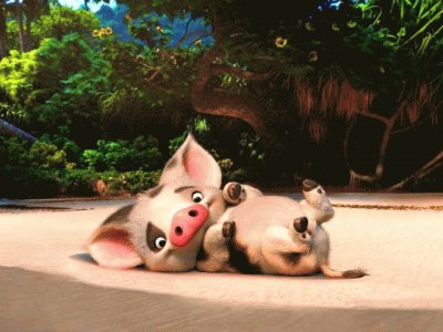 pua jigsaw puzzle