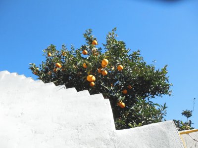 פאזל של naranjas