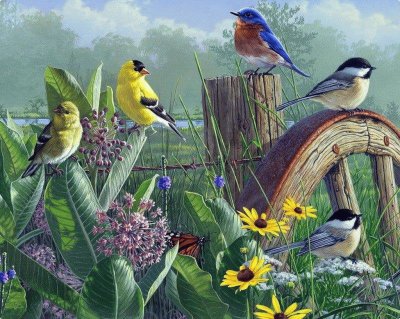 Pajaros, en pintura