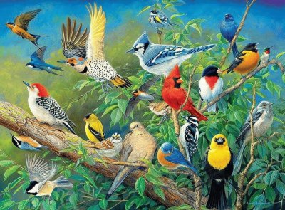 Cuadro de pajaros en pintura jigsaw puzzle