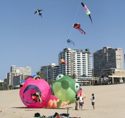 פאזל של go fly a kite 1