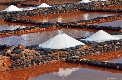 פאזל של salinas fuerteventura