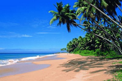 פאזל של playa de sri-lanka