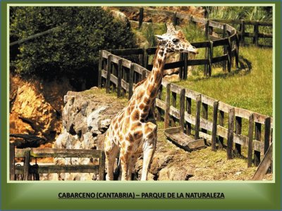 CABARCENO (CANTABRIA) - PAQUE DE LA NATURALEZA jigsaw puzzle