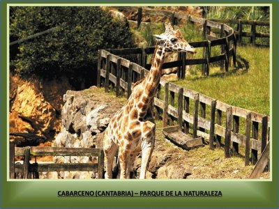 פאזל של CABARCENO (CANTABRIA) - PAQUE DE LA NATURALEZA