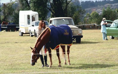 Dressage 7 jigsaw puzzle