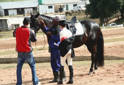 Dressage 8 jigsaw puzzle