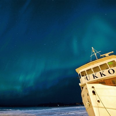 Noche de auroras en la costa de Finlandia jigsaw puzzle