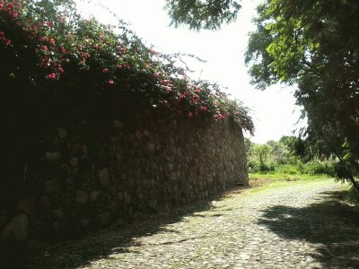 Empedrado, Jacona, MichoacÃ¡n