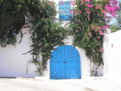 Puerta y Flores