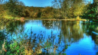 Landschaft