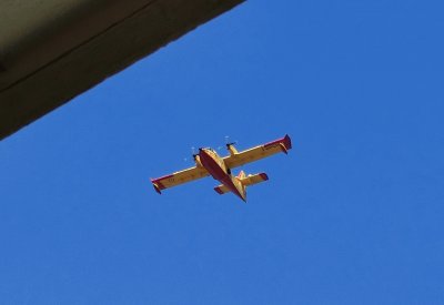 פאזל של canadair