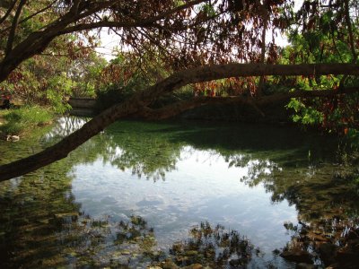 פאזל של sheefa spring