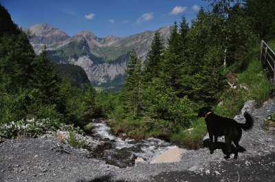 Blick ins Tal