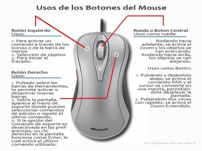 PARTES DEL MOUSE