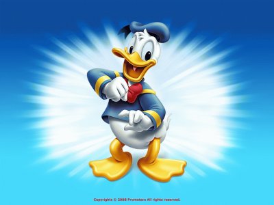 donald jigsaw puzzle