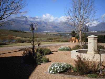 Cape Winelands