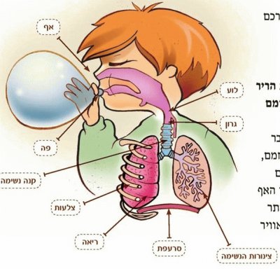 7×Ÿ×˜××•××˜×•