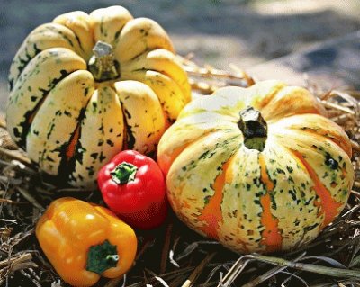 calabazas