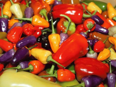 Pimientos y Chiles jigsaw puzzle