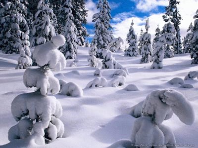 Snowy Day jigsaw puzzle