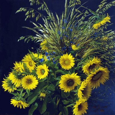 girasol