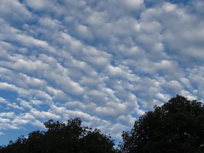Rippled Clouds