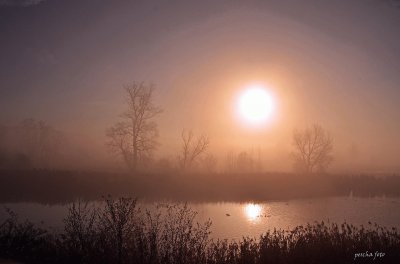 פאזל של reussnebel