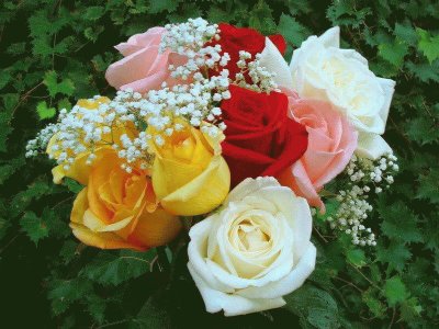 (42) BuquÃª de Flores