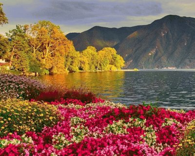 (49) Paisagem