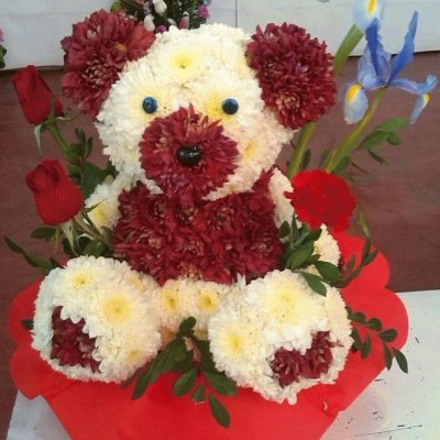(60) Urso Flores