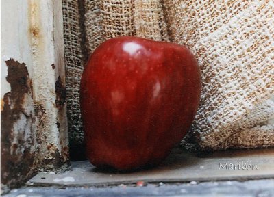 Manzana olvidada en una barda