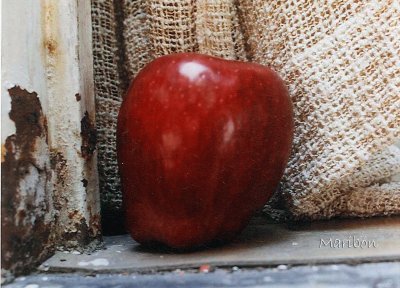 Manzana olvidada en una barda jigsaw puzzle